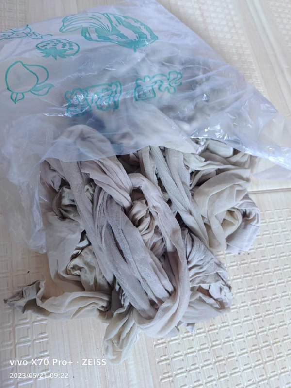 Photo gallery from 20230521, image 8