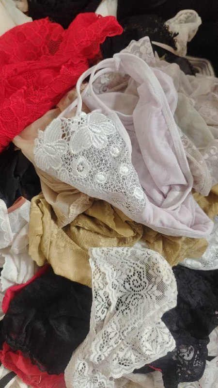 Photo gallery from 20251027, image 12