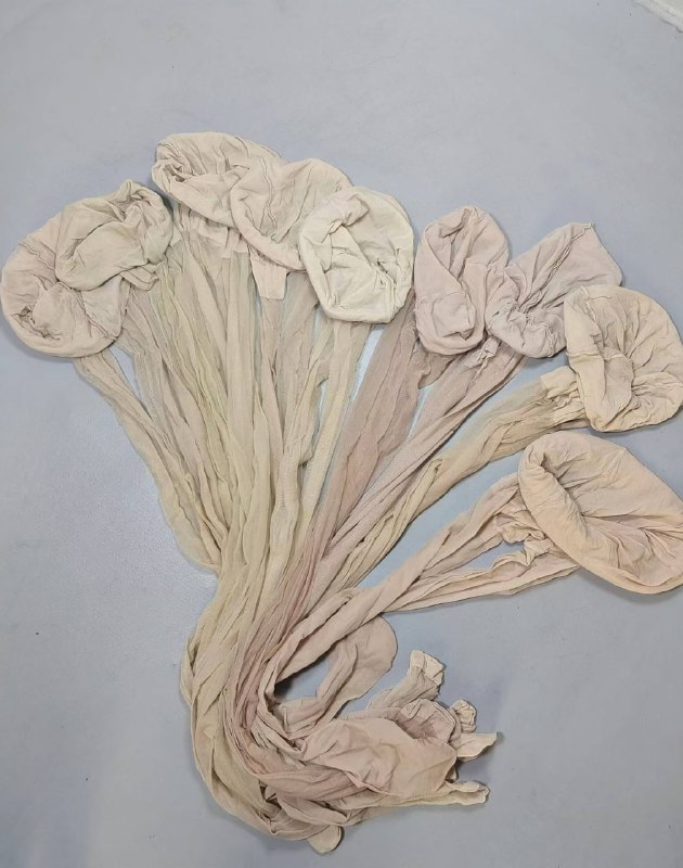 Photo gallery from 20260408, image 6