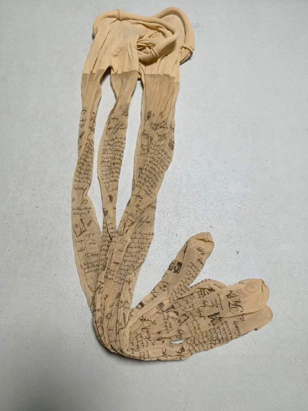 Photo gallery from 20240124, image 5