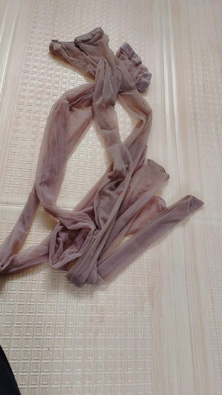 Photo gallery from 20231029, image 5