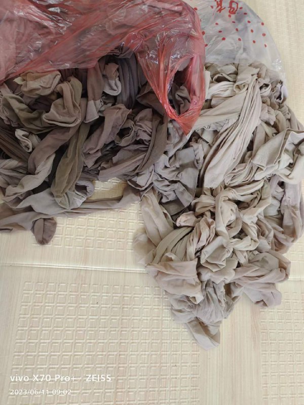 Photo gallery from 20230611, image 8