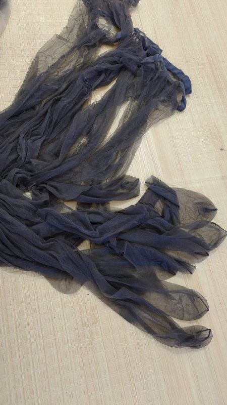 Photo gallery from 20240528, image 9