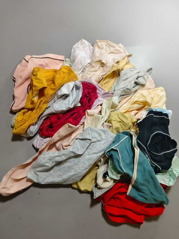 Photo gallery from 20251117, image 5