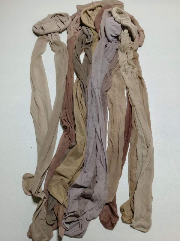 Photo gallery from 20230829, image 6