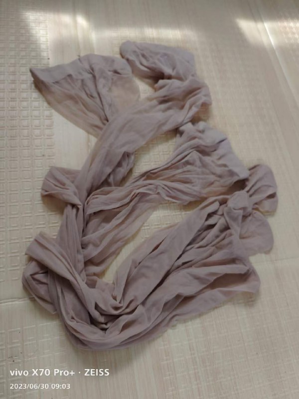 Photo gallery from 20230701, image 8