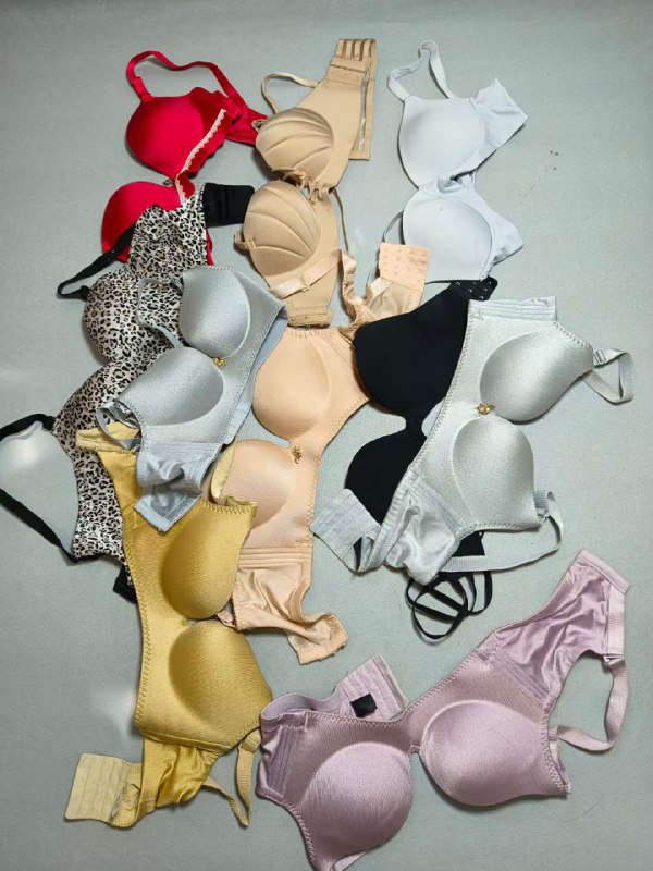 Photo gallery from 20230905, image 6