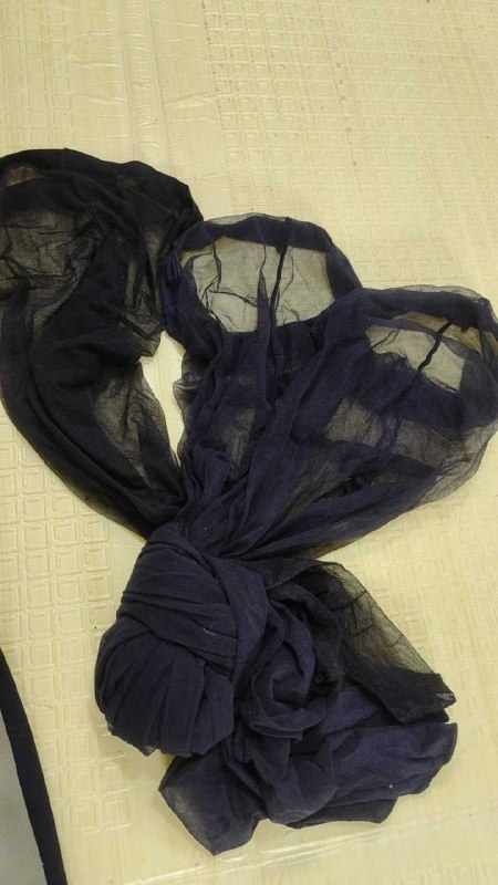 Photo gallery from 20251112, image 5