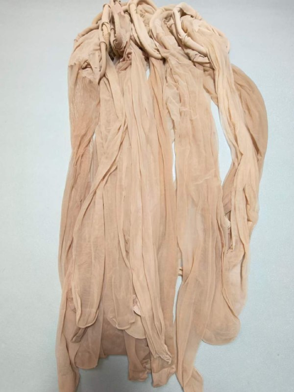 Photo gallery from 20230809, image 12