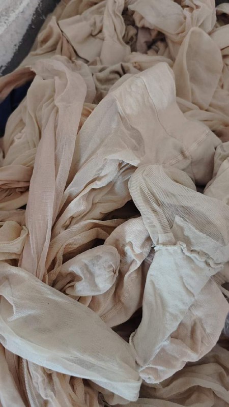 Photo gallery from 20240125, image 5