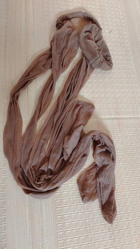 Photo gallery from 20230813, image 11