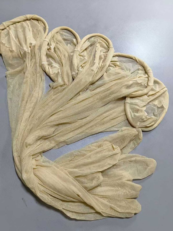 Photo gallery from 20250928, image 9