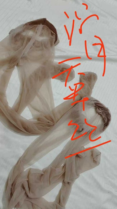 Photo gallery from 20250918, image 10