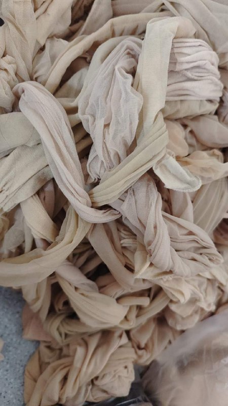 Photo gallery from 20231026, image 9