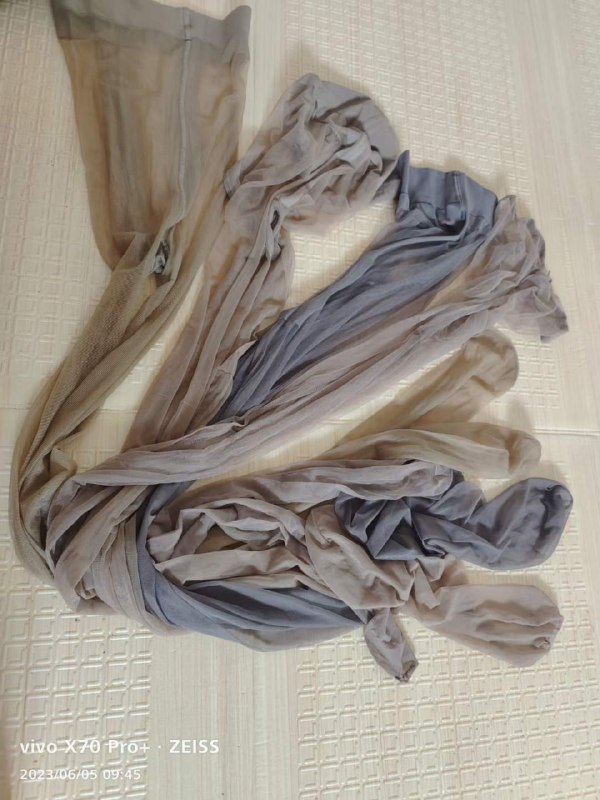 Photo gallery from 20230606, image 12