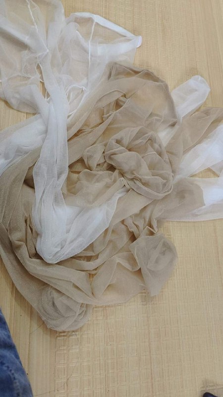 Photo gallery from 20230729, image 10