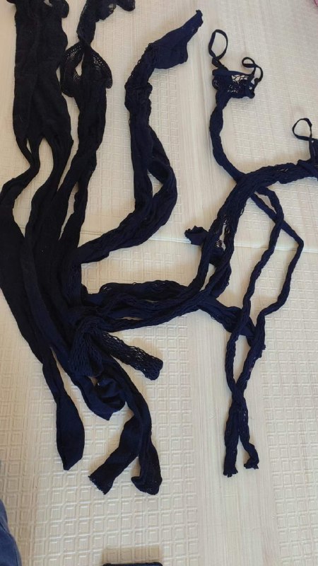 Photo gallery from 20230828, image 5