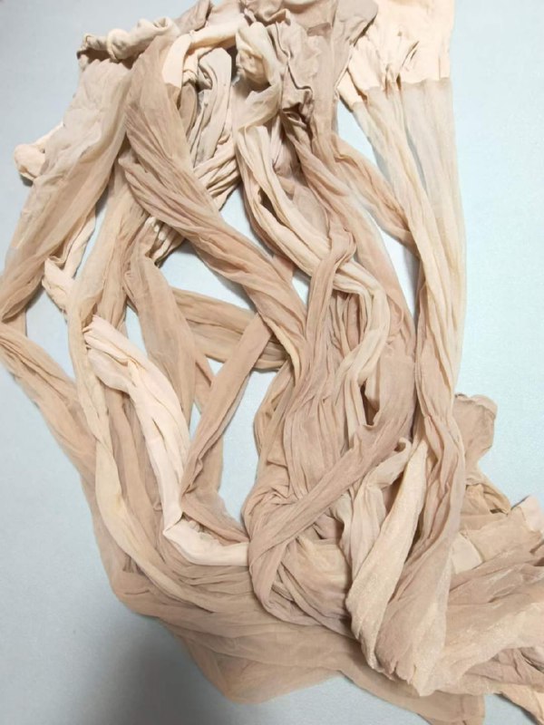 Photo gallery from 20230807, image 9