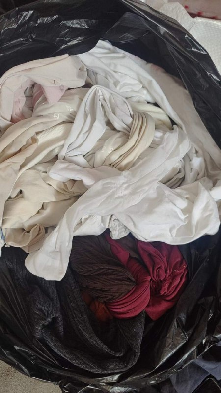 Photo gallery from 20230726, image 6