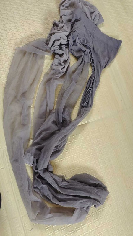 Photo gallery from 20251101, image 10