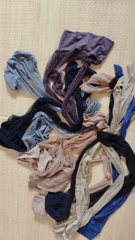 Photo gallery from 20230920, image 12