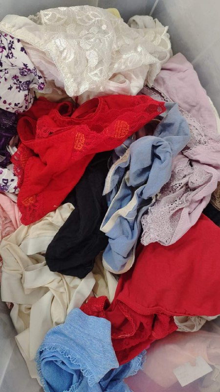 Photo gallery from 20240608, image 6