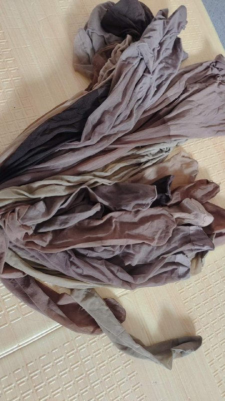 Photo gallery from 20230817, image 7