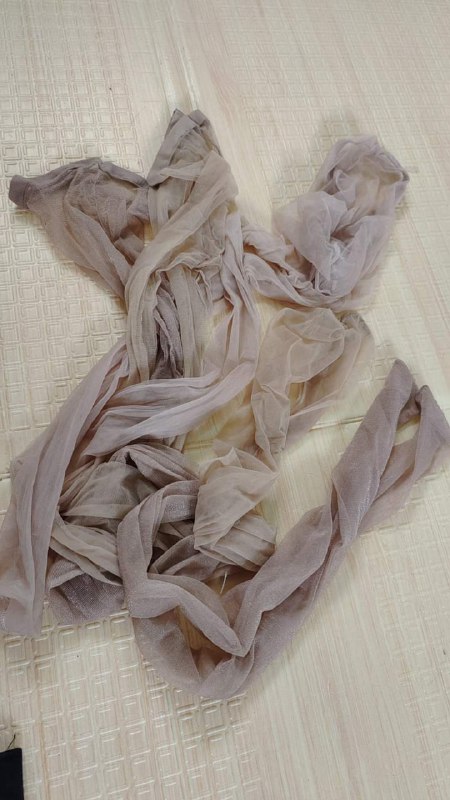 Photo gallery from 20230913, image 6