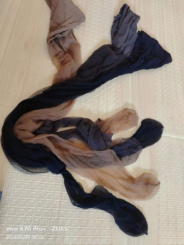 Photo gallery from 20230610, image 7