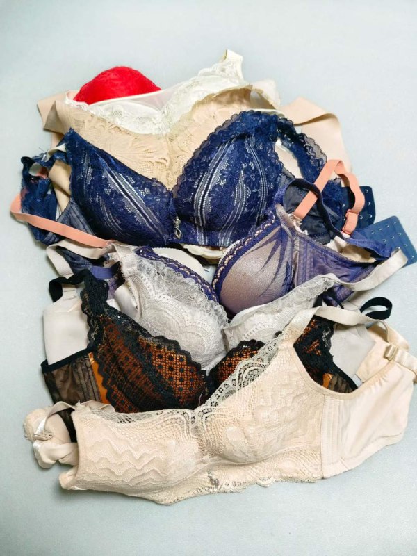 Photo gallery from 20230901, image 12