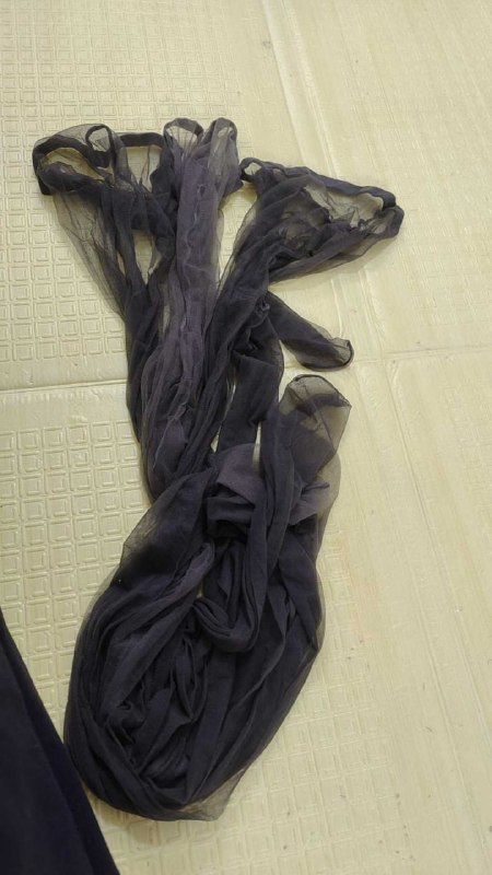 Photo gallery from 20251106, image 12