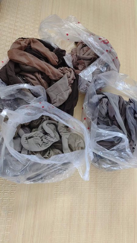 Photo gallery from 20231009, image 9