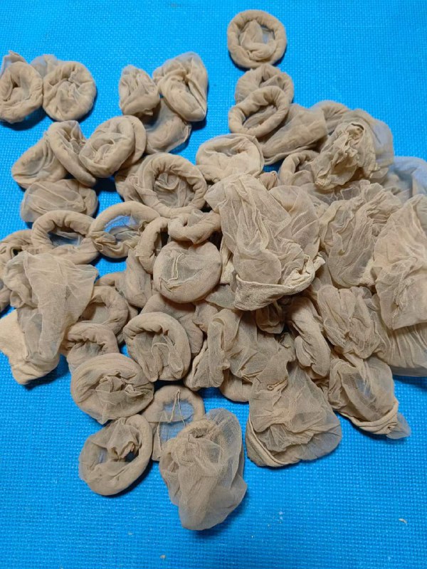 Photo gallery from 20231226, image 11