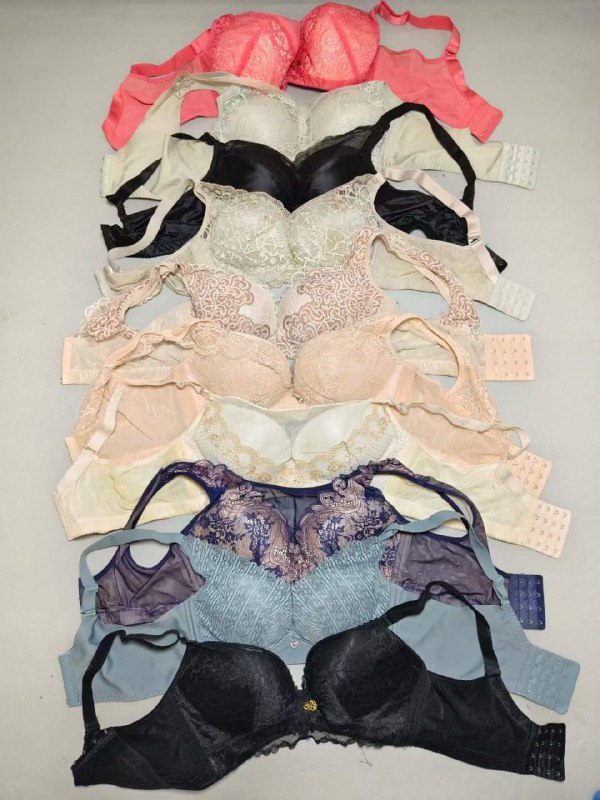 Photo gallery from 20231008, image 7