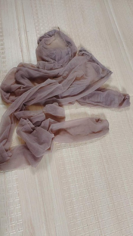 Photo gallery from 20230801, image 4