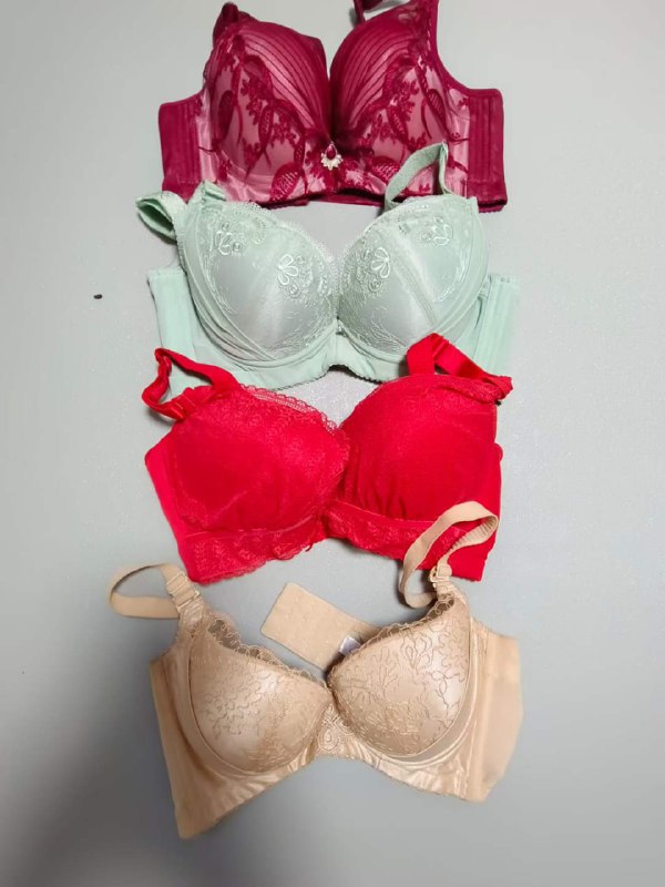 Photo gallery from 20230810, image 11