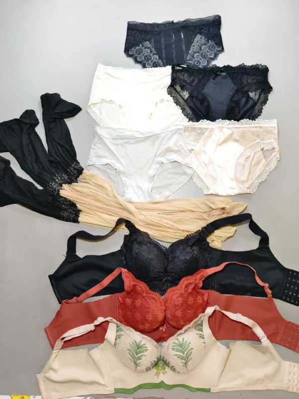 Photo gallery from 20250925, image 10