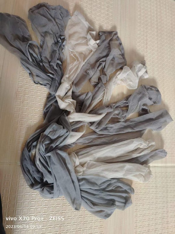 Photo gallery from 20230614, image 10