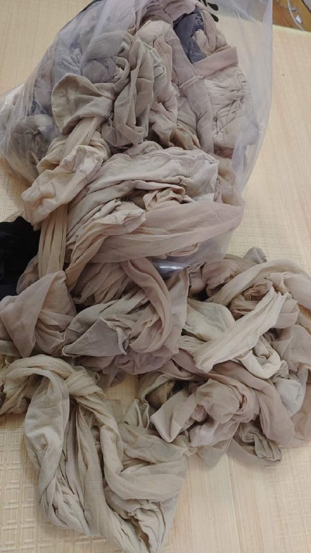 Photo gallery from 20231110, image 9