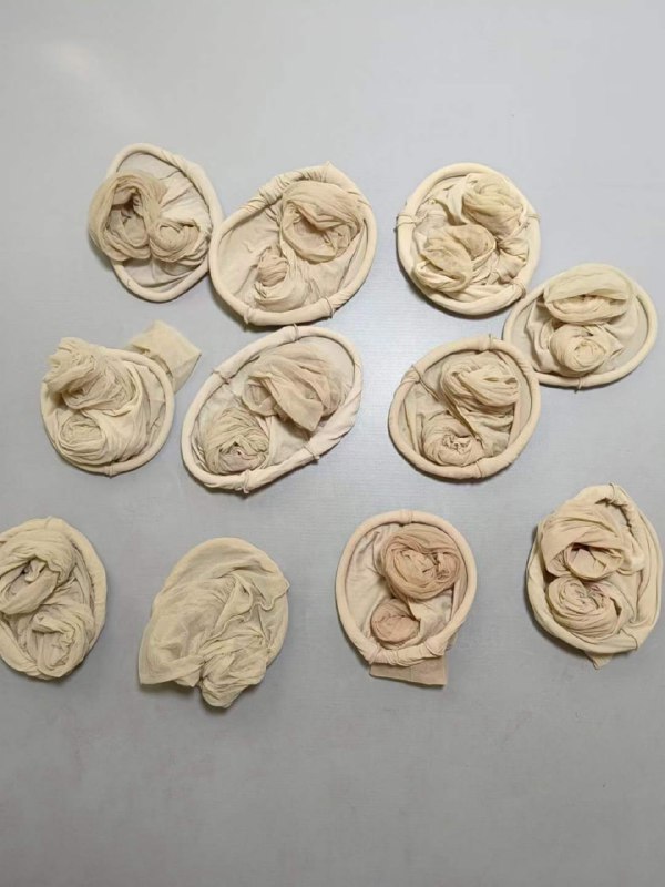 Photo gallery from 20240604, image 9