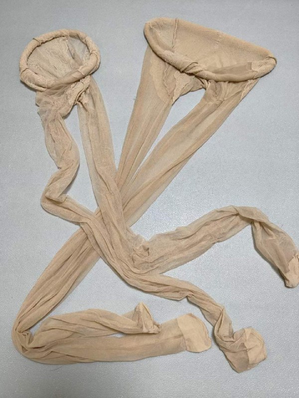 Photo gallery from 20230704, image 10