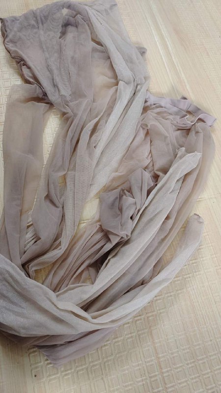 Photo gallery from 20230925, image 7