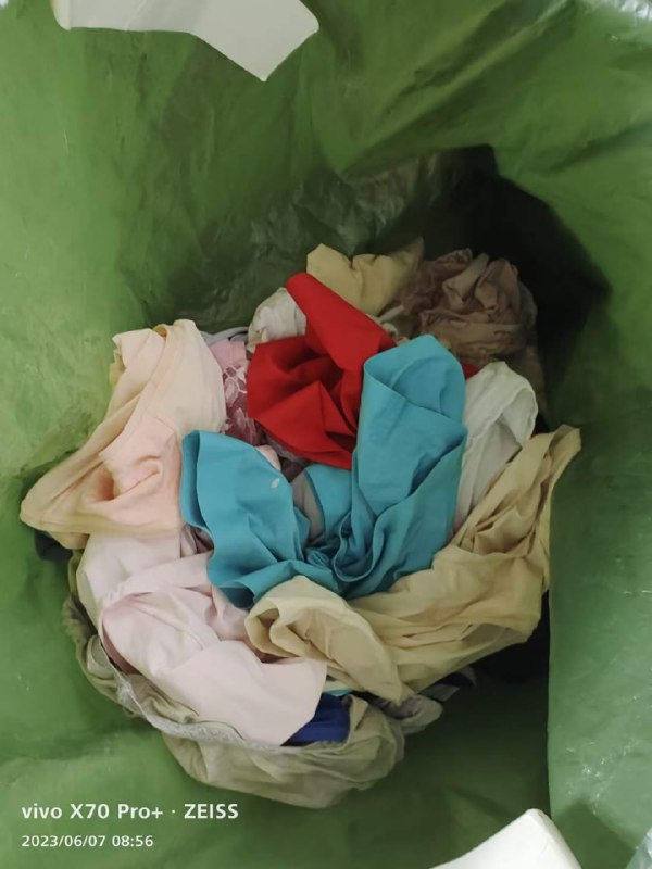 Photo gallery from 20230607, image 12