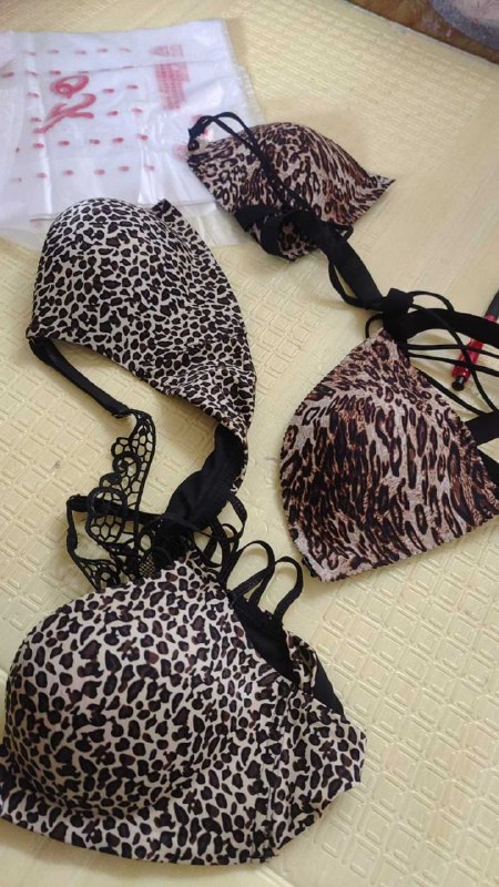 Photo gallery from 20251123, image 5