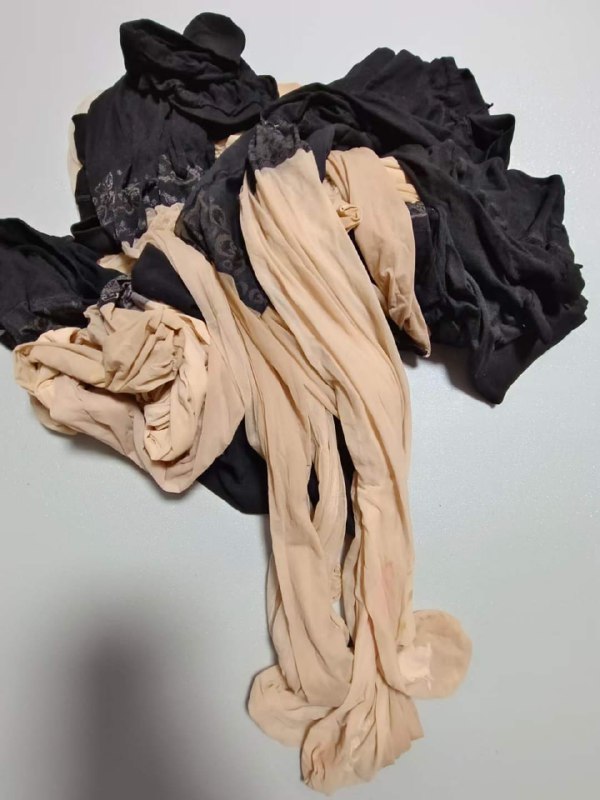 Photo gallery from 20230812, image 11