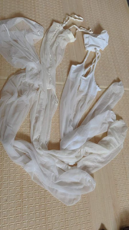 Photo gallery from 20230716, image 4