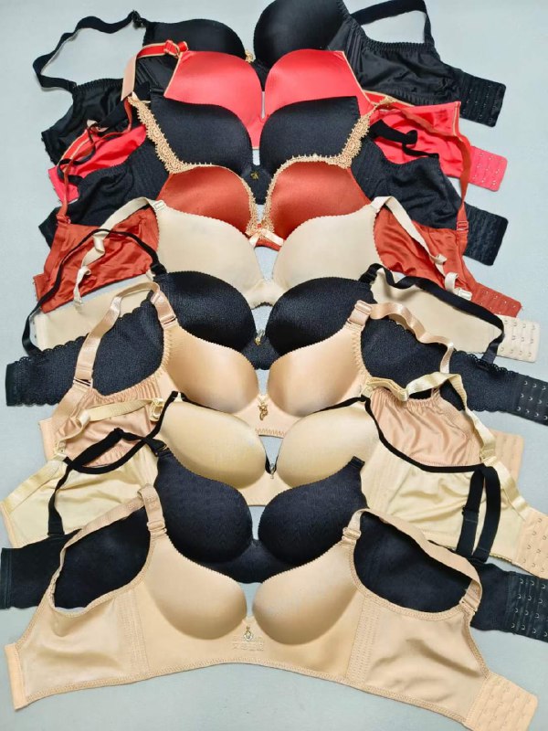 Photo gallery from 20231026, image 12