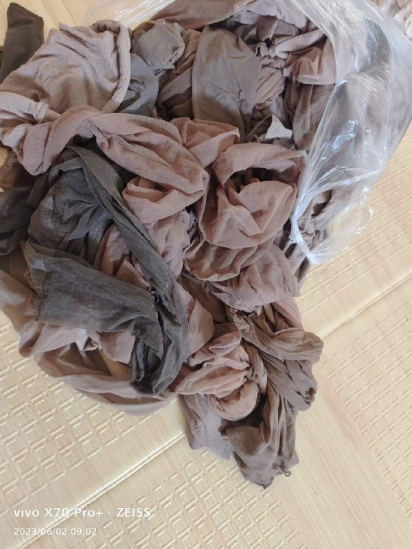 Photo gallery from 20230602, image 5