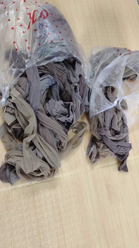 Photo gallery from 20231007, image 7