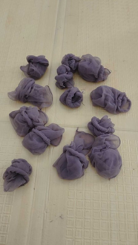 Photo gallery from 20250821, image 12